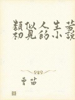 类似人生若只如初见的小说