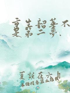 重生韶华不负 是第二梦.