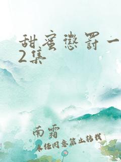 甜蜜惩罚一到12集