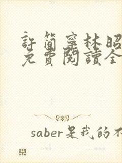 许简宁林昭小说免费阅读全文无弹窗