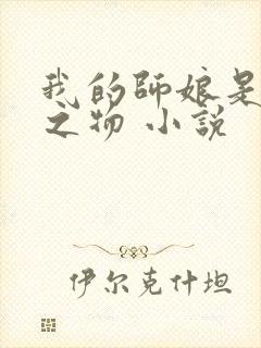 我的师娘是大凶之物 小说