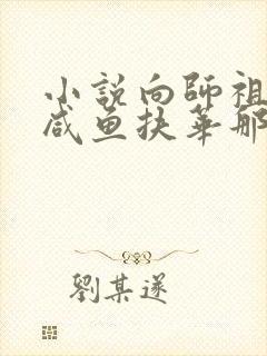 小说向师祖献上咸鱼扶华那里可以看