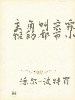 主角叫宋霖李晓雅的都市小说