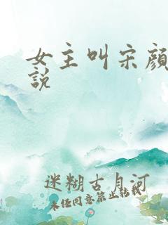 女主叫宋颜的小说