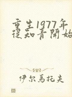 重生1977年从知青开始的小说