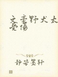 文豪野犬太宰治受伤