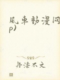风车动漫网_(p)