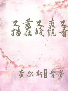 又黄又爽又无遮挡在线观看