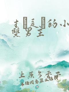 扌臿辶畐的小说双男主