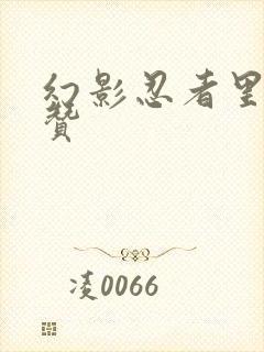 幻影忍者里面的赞