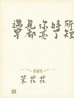 遇见你时所有星星都亮了短剧免费观看