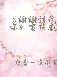 《谢谢让我遇见你》电视剧