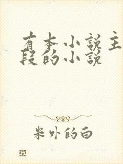 有本小说主角姓段的小说