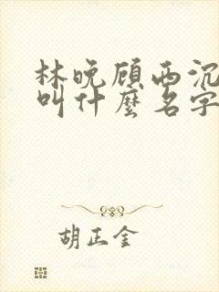 林晚顾西沉小说叫什么名字