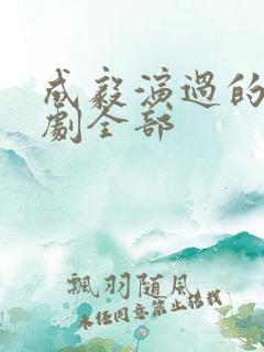 成毅演过的电视剧全部