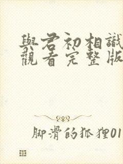 与君初相识免费观看完整版西瓜
