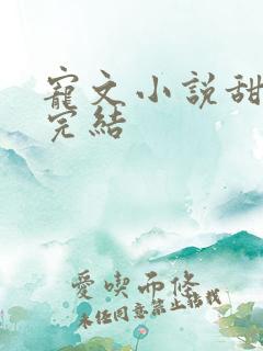 宠文小说甜宠文完结