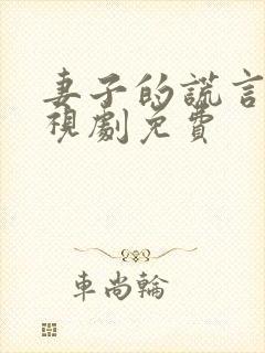 妻子的谎言 电视剧免费