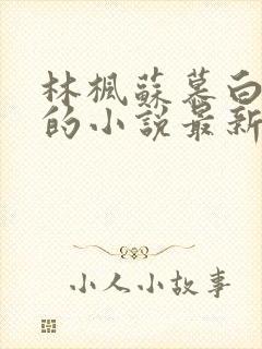 林枫苏慕白穿越的小说最新章节