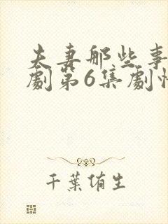 夫妻那些事电视剧第6集剧情