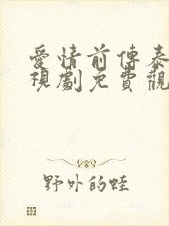 爱情前传泰剧电视剧免费观看