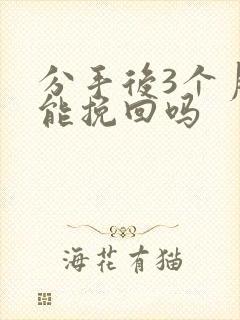 分手后3个月还能挽回吗