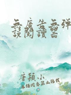 无广告无弹窗小说阅读器