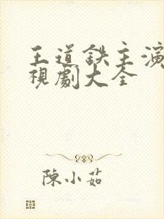 王道铁主演的电视剧大全