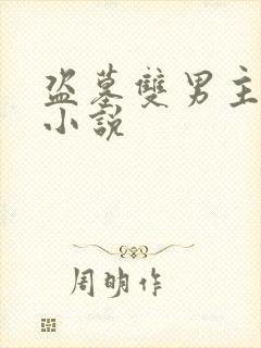 盗墓双男主推荐小说