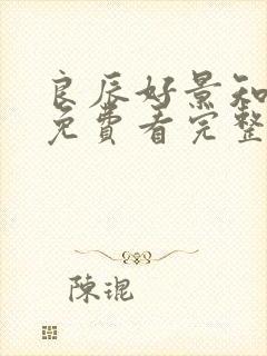 良辰好景知几何免费看完整版