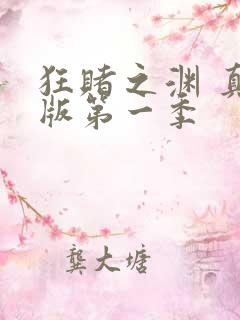 狂赌之渊 真人版第一季