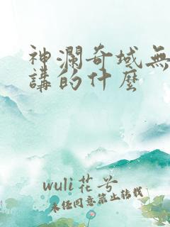 神澜奇域无双珠讲的什么