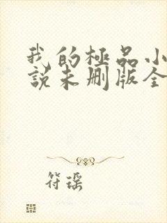 我的极品小姨小说未删版全文