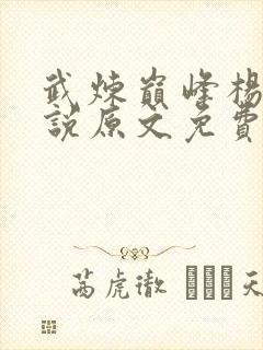 武炼巅峰杨开小说原文免费阅读