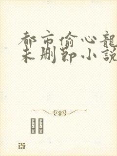 都市偷心龙爪手未删节小说