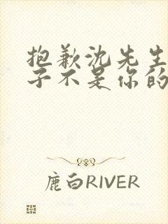 抱歉沈先生,孩子不是你的短剧免费看