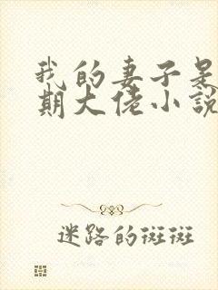 我的妻子是大乘期大佬小说无删减