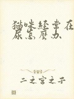 猫咪经常在床上尿怎么办