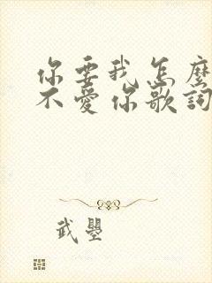 你要我怎么说我不爱你歌词