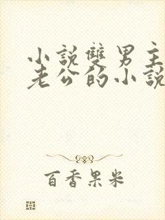 小说双男主虐文老公的小说推荐完结