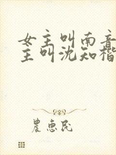 女主叫南音,男主叫沈知楷的小说