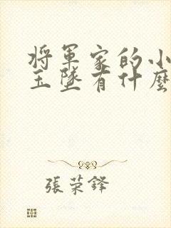 将军家的小娘子玉坠有什么秘密