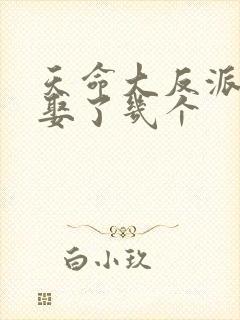 天命大反派结局娶了几个