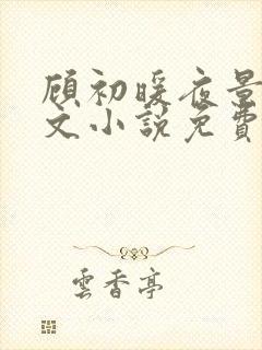 顾初暖夜景寒全文小说免费阅读完整版