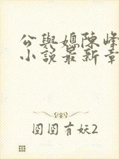 公与媳陈峰姚瑶小说最新章节阅读