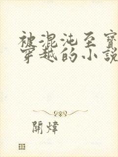 被混沌至宝带着穿越的小说