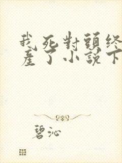 我死对头终于破产了小说下载