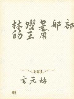 林跃是哪部小说的主角