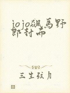 jojo飙马野郎封面