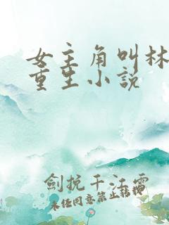 女主角叫林月的重生小说